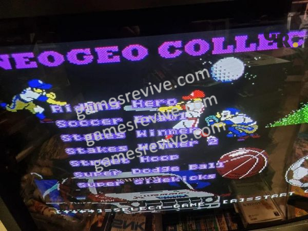 Sport Collection 28 in 1 -  Neo Geo AES