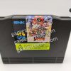 Top Hunter - Neo Geo AES